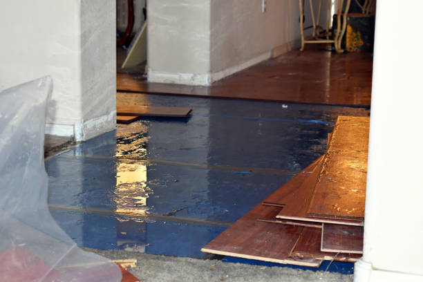 Professional Burst Pipe Cleanup technician working in Little Falls, NJ